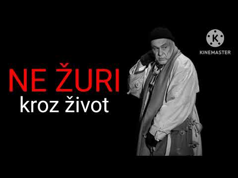 Mika Antić - Divna pesma