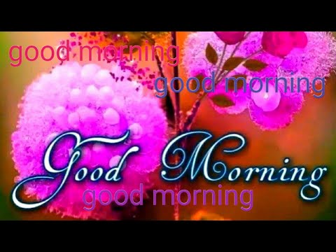🌹Hi good morning 🌹video🌹 good morning