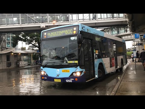 Transit Systems Volvo B7RLE (ZF Ecomat) Custom Coaches CB60 EvoII m/o9735 (1250) [Route 800]