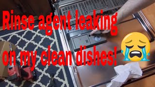 Install a new detergent dispenser in your dishwasher