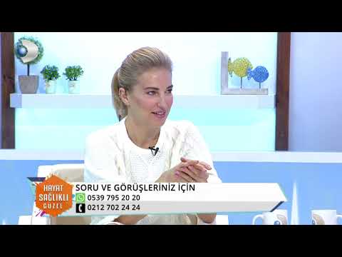 PROF. DR. MEHMET ALP