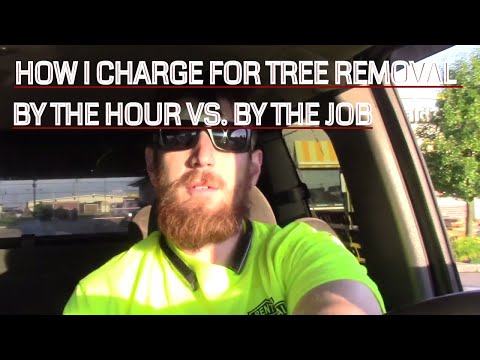 3rd YouTube video about how to negotiate tree removal