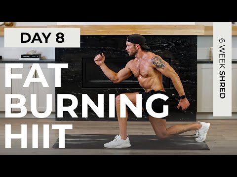 Day 8: 30 Min FAT BURNING HIIT Workout [No Repeats, No Equipment] // 6WS1