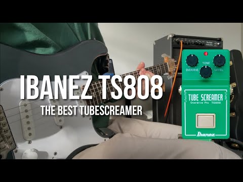 Ibanez TS808 Tone Test | Is This The Best Tubescreamer?