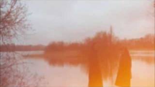 Sparrow House - Weeping Willow(Sebastian Schuller cover)