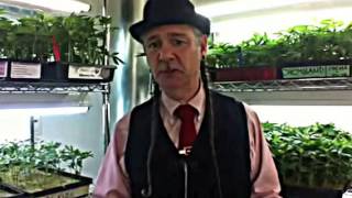 A New Year's message from Steve DeAngelo