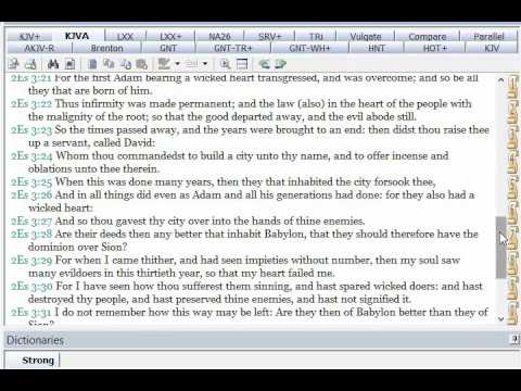 FAQ 81 - Are we born into sin?