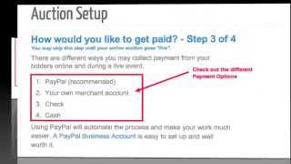 BiddingOwl.com video