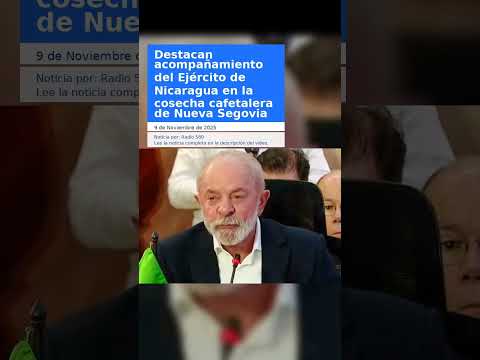 Destacan acompañamiento del Ejército de Nicaragua en la cosecha cafetalera de Nueva Segovia