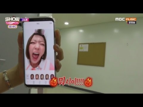 Apink in Show Champion Behind [CC: ENG SUBS]