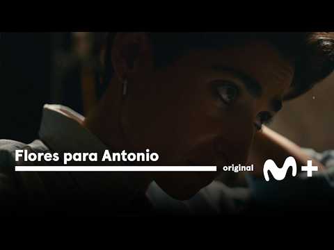 Flores para Antonio: Primer adelanto | Movistar Plus+