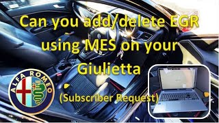 Alfa Romeo Giulietta EGR Delete with Multiecuscan or not    Subscriber Request