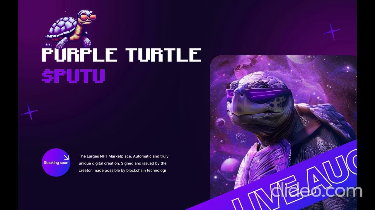 Purple Turtle Fairlaunch