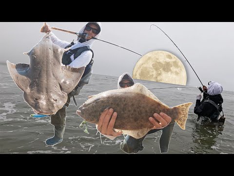 PART 1 Halibut/Sea Bass/Monsters! Full Moon Southern CA Surf Fishing Tour - SB • VTA • LA