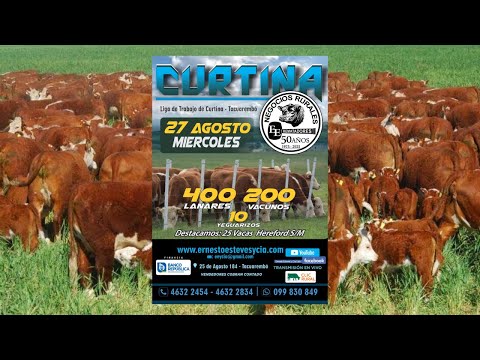 Remata Ernesto Esteves y Cia - Local Liga del Trabajo de Curtina Tacuarembó - 27 de Agosto de 2025