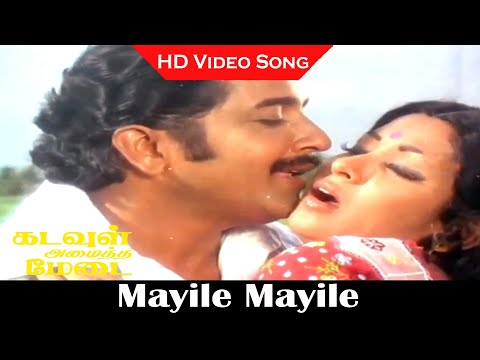 Mayile Mayile Song | Kadavul Amaitha Medai Movie | Sivakumar, Sumithra | Love Songs | HD