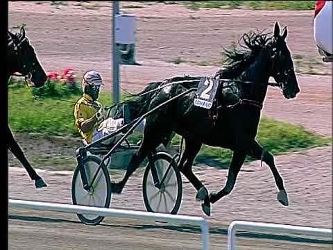 Trotto 16/06/2018 - 4ª corsa