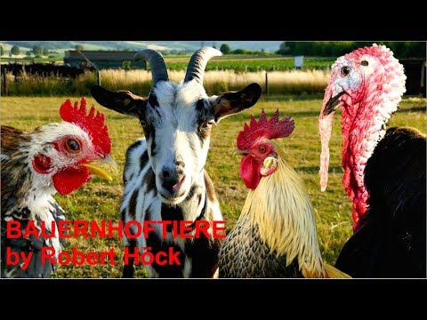 Für kleine Kinder: Glückliche Bauernhoftiere mit Naturgeräuschen - Kühe, Schafe, Ziegen, Hühner