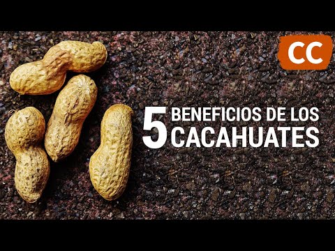 5 Benefits of Peanuts | Food Science