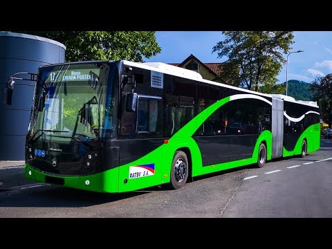 Cab View Bus Line 17, Brasov.