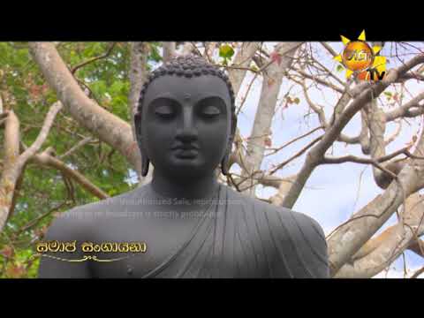 Hiru TV
