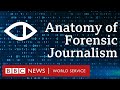 How 'visual forensics' transformed investigative journalism at the BBC - BBC World Service