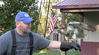 The Falconer's Journey Ep4