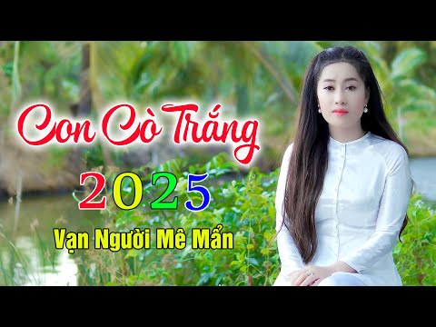 CON CÒ TRẮNG ✔️ Mở Nhẹ Nhàng Liên Khúc Rumba, Cực Hay,Ngủ Cực Say. Thúy Duy, Hoàng Diễn