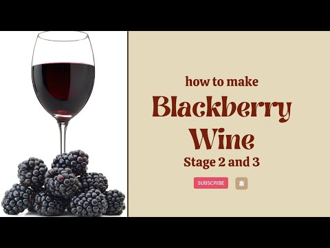 Wine making Part 2: Secondary Fermentation and Racking