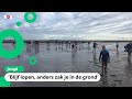 Wadlopen is superpopulair deze zomer