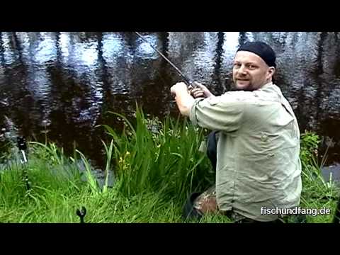 Auf Graskarpfen mit Matze Koch