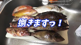 爆釣した魚達を食べたらマジで美味すぎた！！