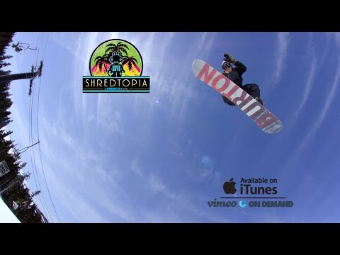 SHREDTOPIA "Wiz-Bear" Part - 4K - Shred Bots