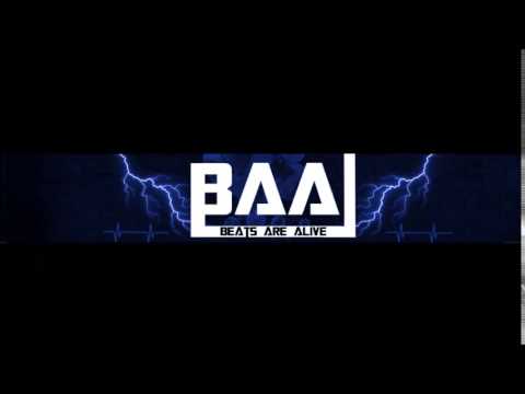 Borgore - Wild Out  feat  Waka Flocka Flame & Paige