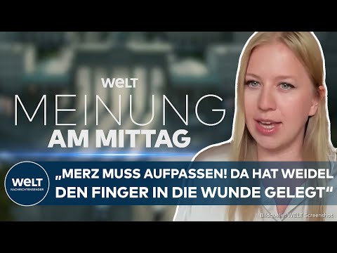 BUNDESTAG: Merz muss aufpassen! "Da hat Alice Weidel den Finger in die Wunde gelegt" | WELT MEINUNG
