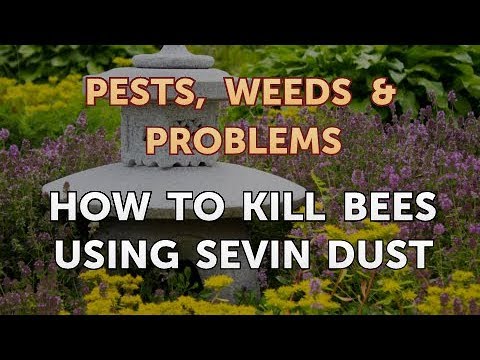 How to Kill Bees Using Sevin Dust