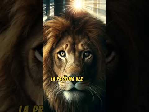 La fortaleza oculta en tu interior (MENTALIDAD DE LEON)