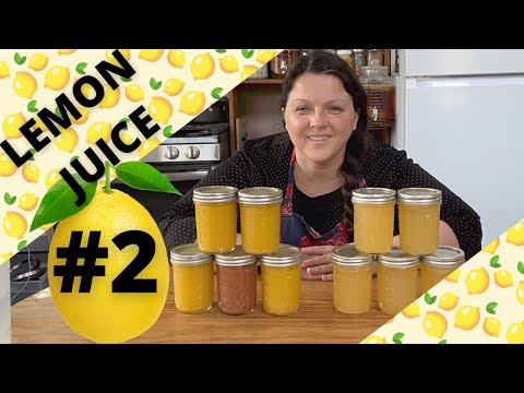 WHAT TO DO WITH LEMON JUICE - #2 in ZERO WASTE lemon processing series- HOMESTEADING ALASKA