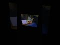 Sesame Street Episode 2734 Ending