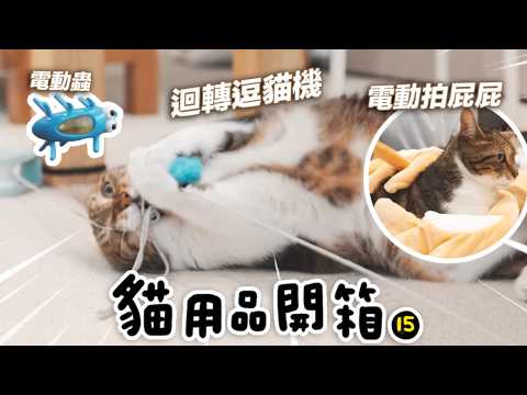 #貓用品開箱 【迴轉逗貓機讓柚子嗨到翻滾！】志銘與狸貓