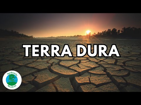 How to Transform Hard Soil into Fertile Soil in a Simple Way