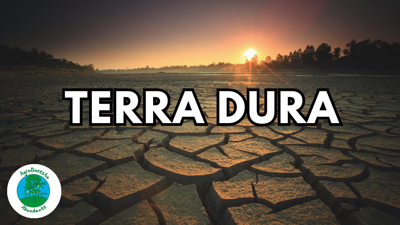 Como Transformar Terra Dura em Solo Fértil de Forma Simples