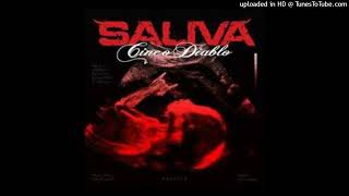 Saliva - How Could You