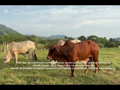Arte Rupestre La Esperanza Norte de Santander