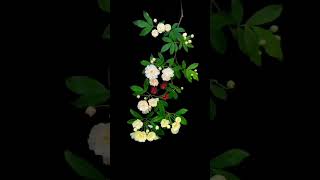 Download lagu #love #duet #lovesongs #song #flowers #nature #jiskeaanesemukammalhogayithizindagisong mp3 Download lagu #love #duet #lovesongs #song #flowers #nature #jiskeaanesemukammalhogayithizindagisong mp3