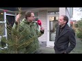 Gratis kerstboom voor dominee in Zeewolde
