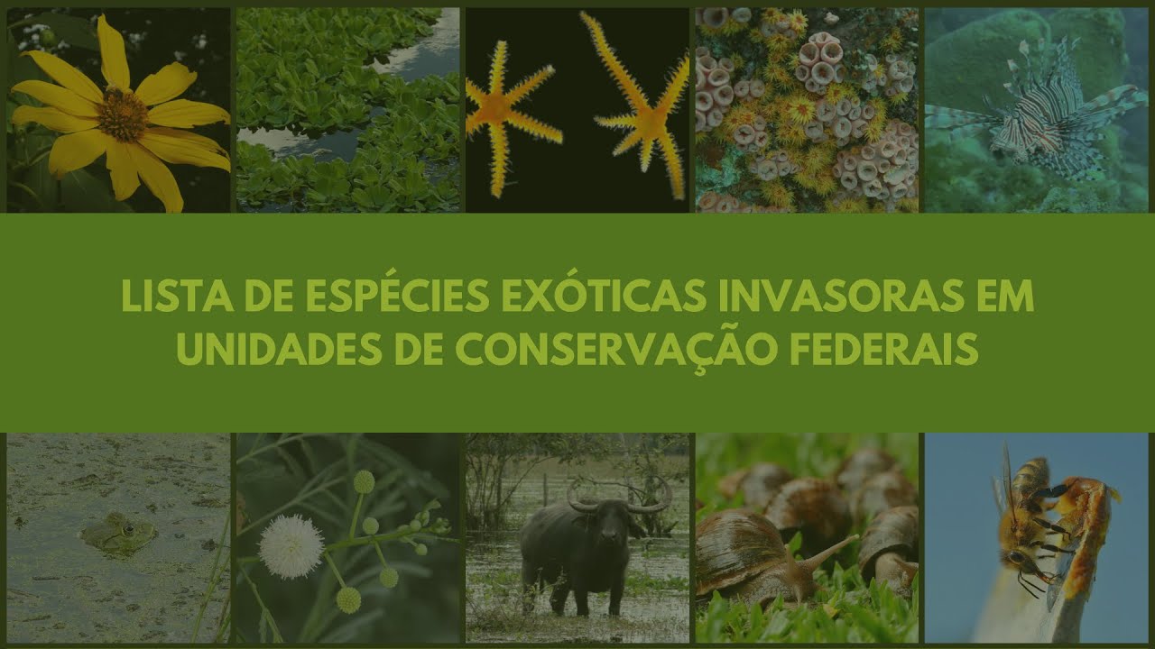Lançamento da Lista de Espécies Exóticas Invasoras em Unidades de Conservação Federais