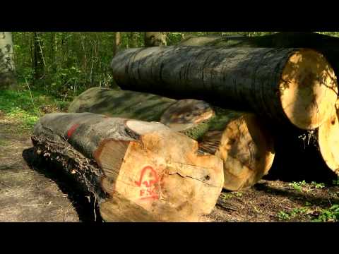 SPD-Ratsfraktion Hannover - Umweltpolitische Erfolge (Solarfest 2013)