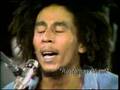 Way of the Rasta 
