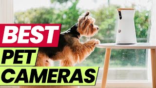 What are the TOP 5 Pet Cameras for Monitoring Your Pet in 20
